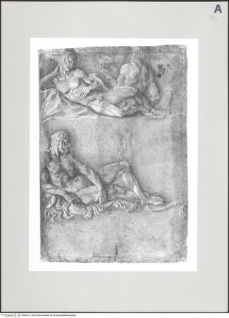 Vorderseite von bh509181_recto