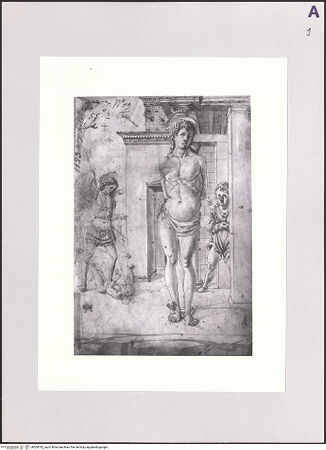 Vorderseite von bh509182_recto