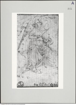 Vorderseite von bh509195_recto