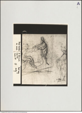 Vorderseite von bh509202_recto