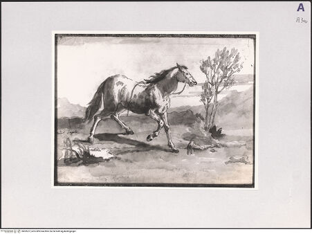 Vorderseite von bh509212_recto