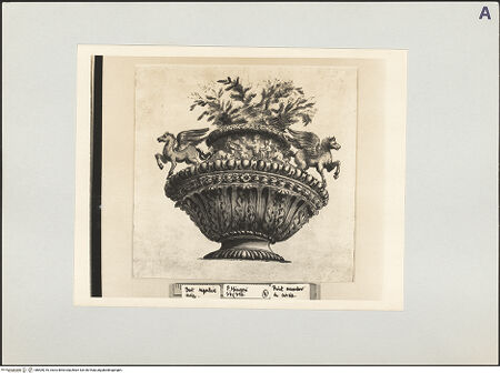 Vorderseite von bh509216_recto