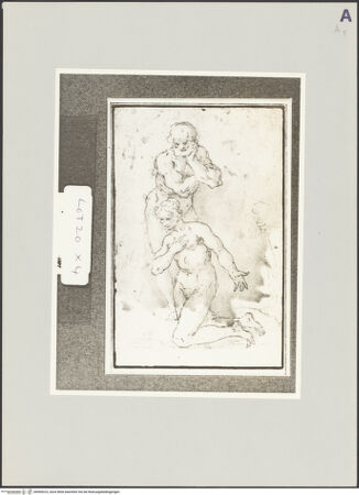 Vorderseite von bh509223_recto