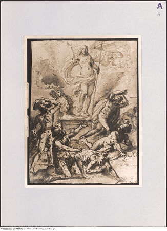 Vorderseite von bh509228_recto