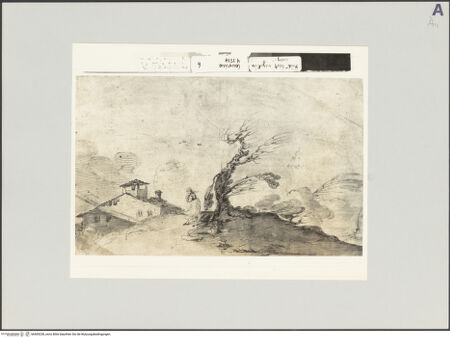 Vorderseite von bh509238_recto