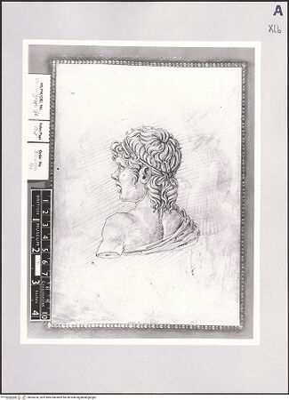 Vorderseite von bh509250_recto