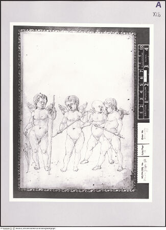 Vorderseite von bh509252_recto