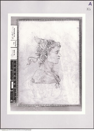 Vorderseite von bh509253_recto