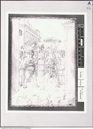 Vorderseite von bh509255_recto