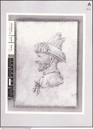 Vorderseite von bh509256_recto