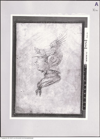 Vorderseite von bh509276_recto