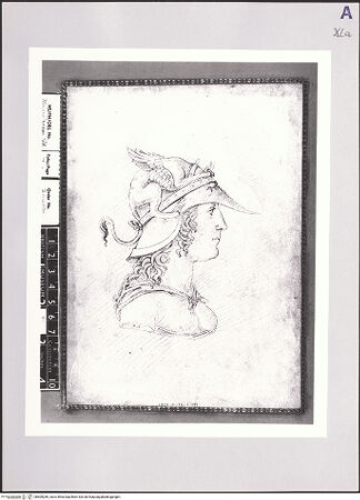 Vorderseite von bh509289_recto