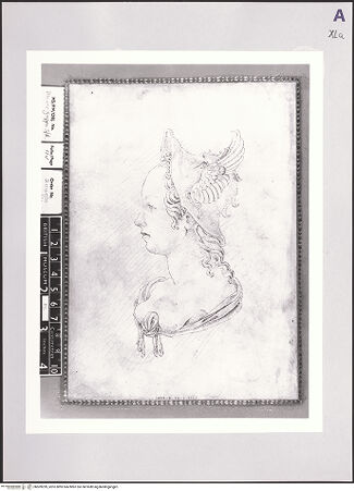 Vorderseite von bh509299_recto