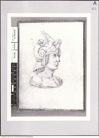 Vorderseite von bh509301_recto