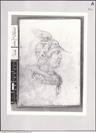 Vorderseite von bh509304_recto