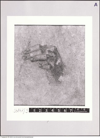 Vorderseite von bh509315_recto