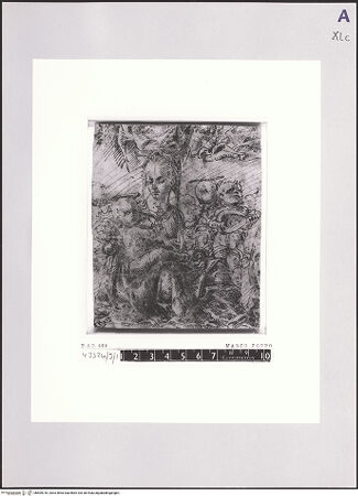 Vorderseite von bh509316_recto