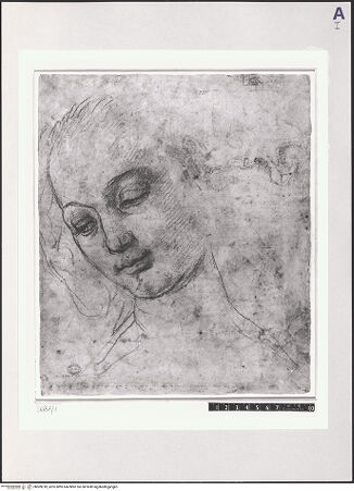 Vorderseite von bh509318_recto