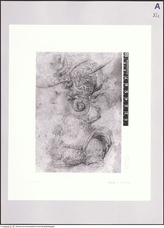 Vorderseite von bh509330_recto