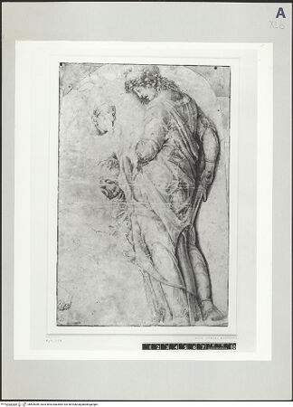 Vorderseite von bh509389_recto