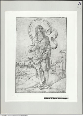 Vorderseite von bh509390_recto