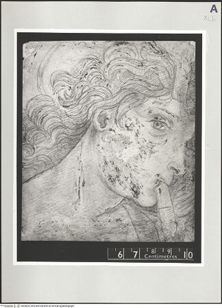 Vorderseite von bh509409_recto