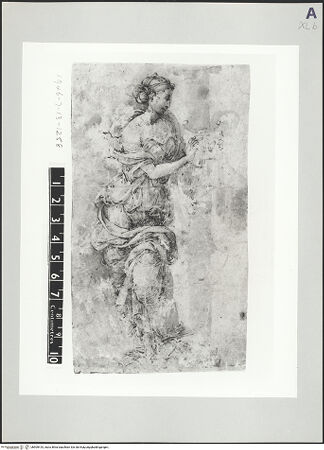 Vorderseite von bh509410_recto