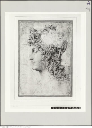 Vorderseite von bh509411_recto