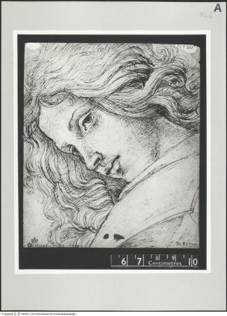 Vorderseite von bh509417_recto