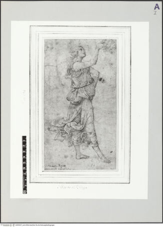 Vorderseite von bh509427_recto