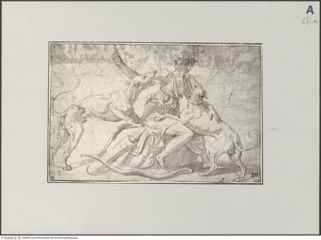 Vorderseite von bh509476_recto