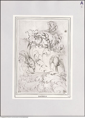 Vorderseite von bh509479_recto