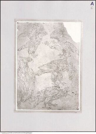 Vorderseite von bh509481_recto