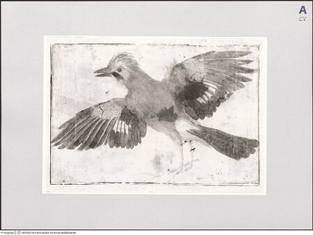 Vorderseite von bh509482_recto