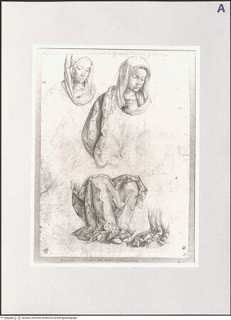 Vorderseite von bh509504_recto