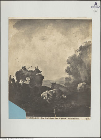 Vorderseite von bh509535_recto