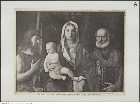 Vorderseite von bh509546_recto