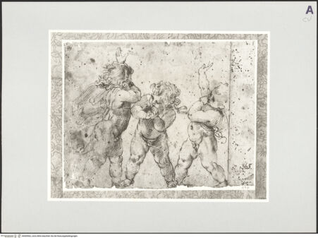 Vorderseite von bh509562_recto