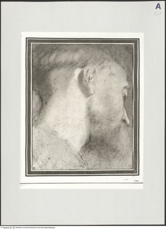 Vorderseite von bh509563_recto