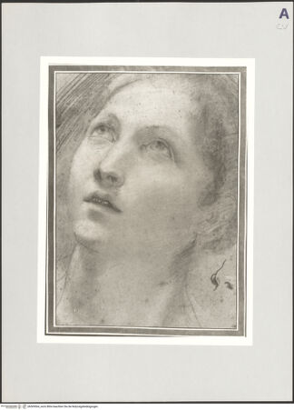 Vorderseite von bh509564_recto