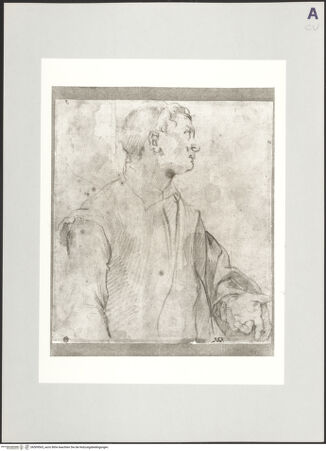 Vorderseite von bh509565_recto