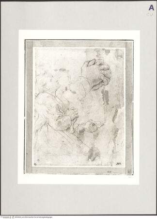 Vorderseite von bh509569_recto