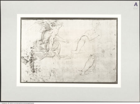 Vorderseite von bh509575_recto