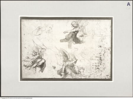 Vorderseite von bh509576_recto