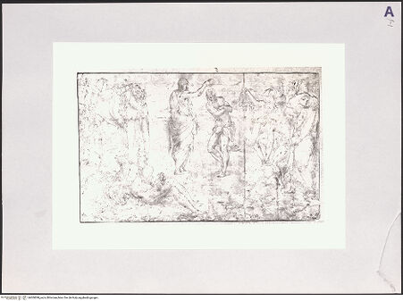 Vorderseite von bh509590_recto