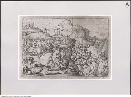 Vorderseite von bh509591_recto