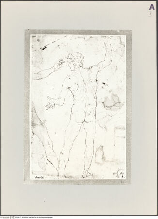 Vorderseite von bh509615_recto