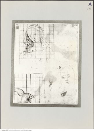 Vorderseite von bh509619_recto