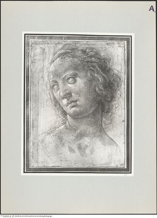 Vorderseite von Nationalmuseum Stockholm [https://www.deutsche-digitale-bibliothek.de/content/lizenzen/rv-ez/] Frauenkopf mit pathetischem Blick - , bh509620_recto. Foto.