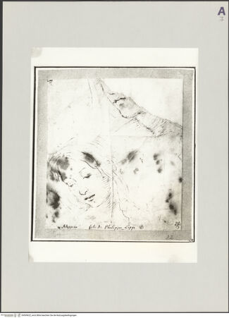 Vorderseite von bh509622_recto